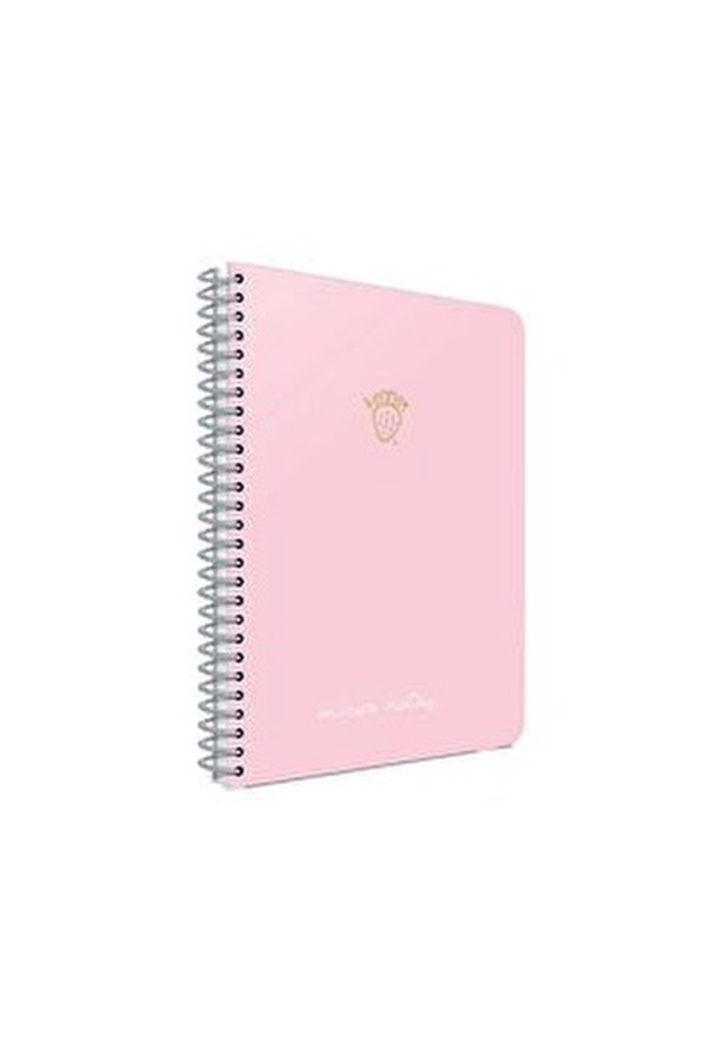 Spiralli Çizgili Defter