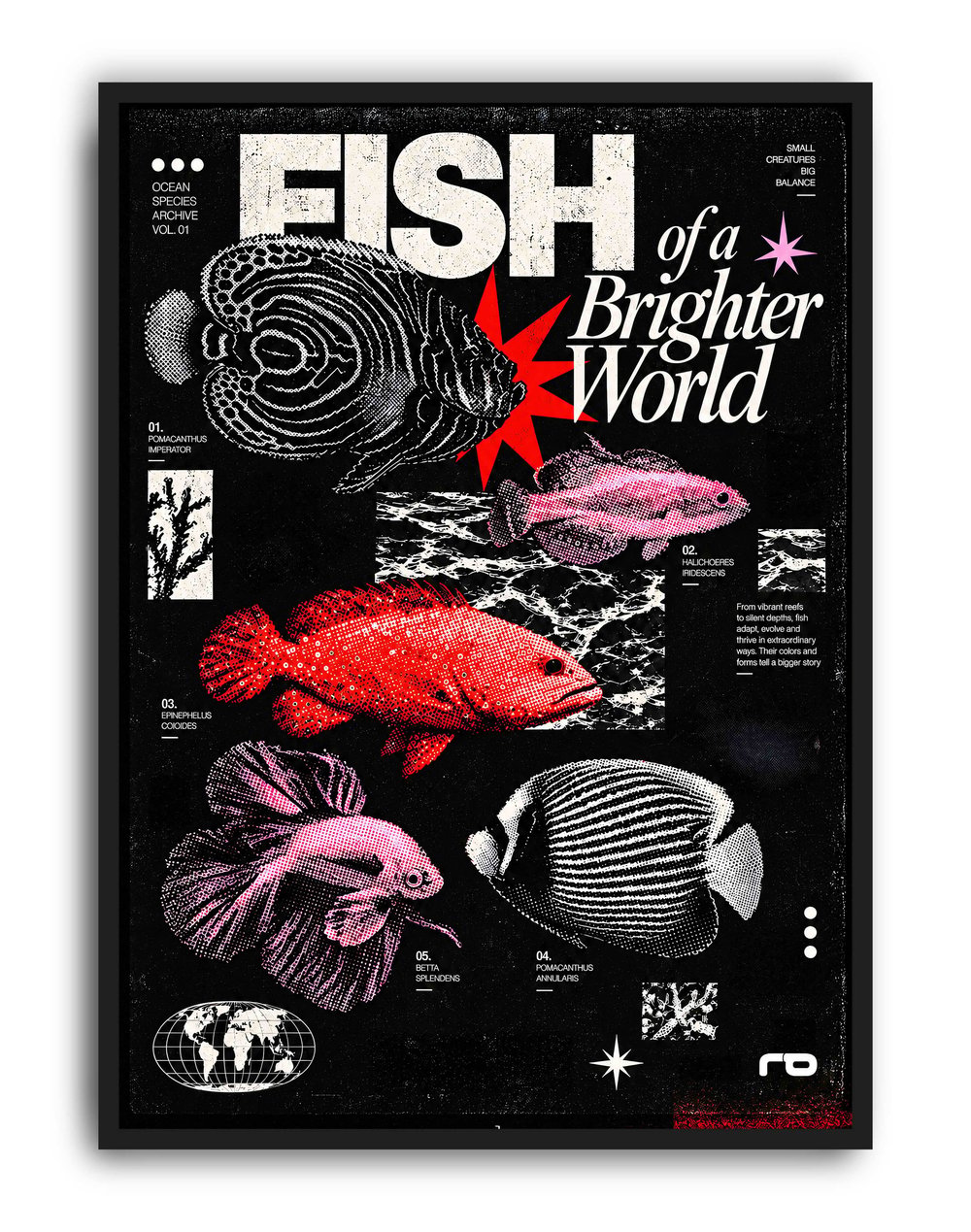 Fish by Rana Aksu