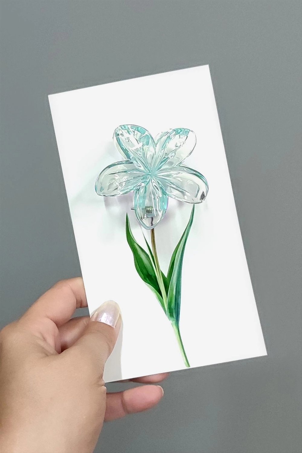 100 Adet Şeffaf Renkli Lotus Toka 8 cm Kına Seti
