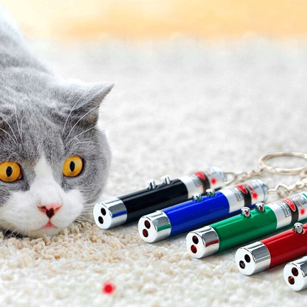 3 Fonksiyonlu Kırmızı Beyaz Işıklı Led Lazer Kedi Köpek Oyuncak Anahtarlık Bx40