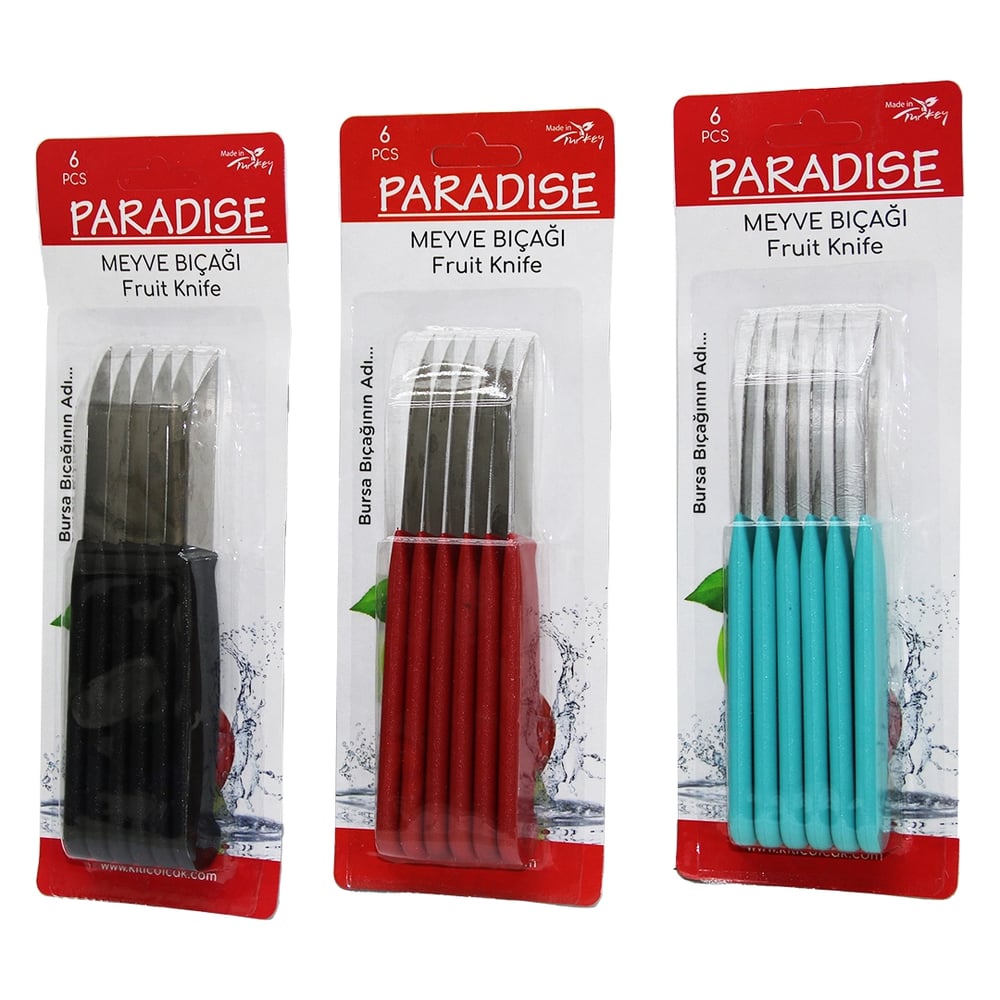 6 Parça  Meyve Bıçak Renkli Plastik Saplı Bx40