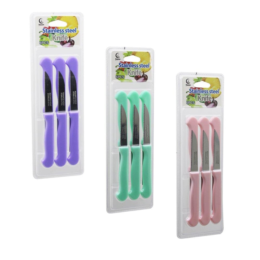 6PCS MEYVE BIÇAK  RENKLİ PLASTİK SAPLI   VAKUMLU AMBALAJ   BRKT-806155 (3936)