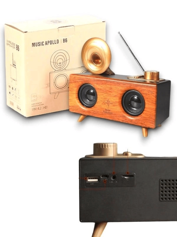 B6 SPEAKER HOPARLÖR