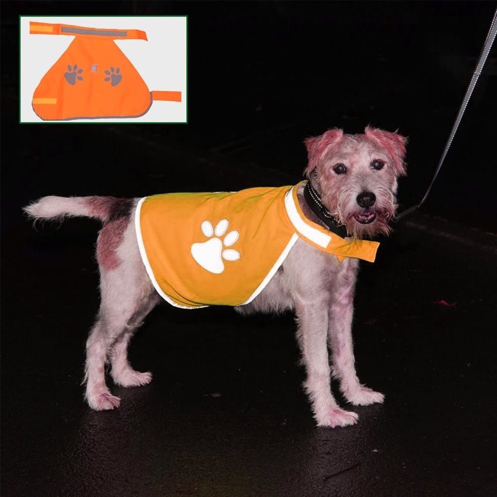 BUFFER® Gece Görüşlü Reflektör Kumaşlı Cırt Cırtlı Köpek Yeleği Medium