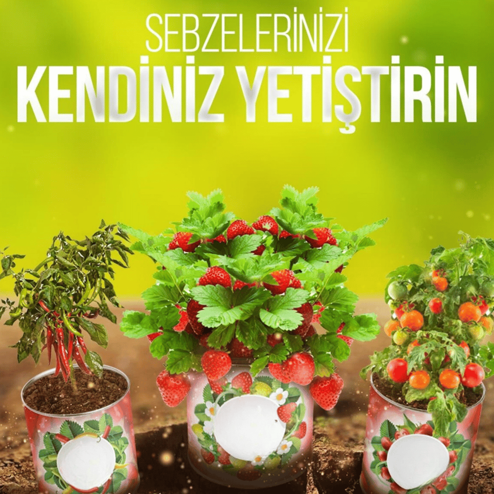BUFFER® Konserve Bahçem Evde Konservede Fındık Turp Yetiştirme Kiti