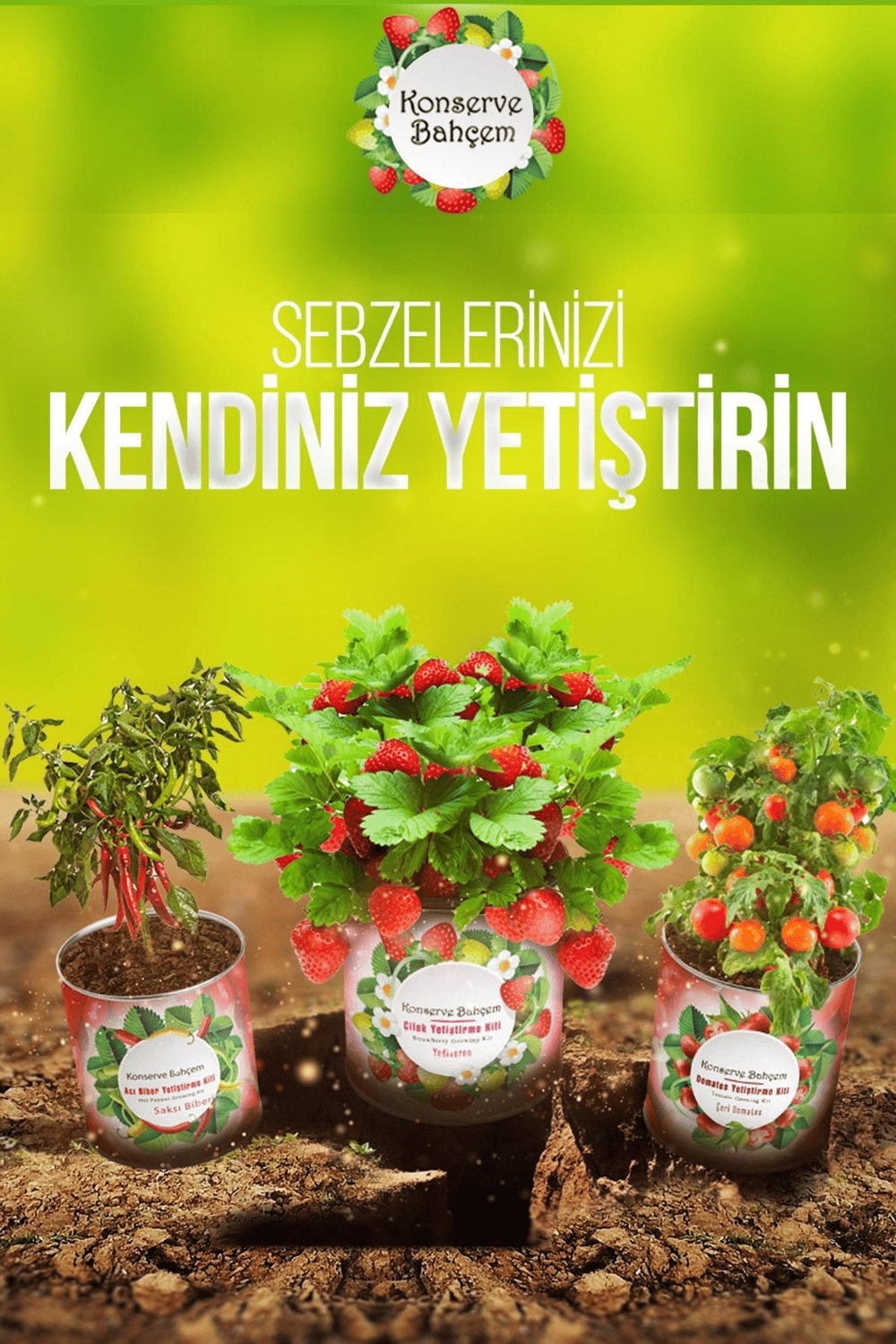 BUFFER® Konserve Bahçem Evde Konservede Fındık Turp Yetiştirme Kiti