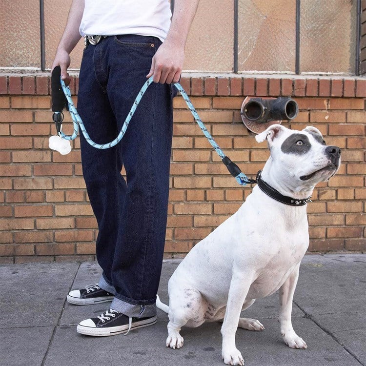 BUFFER® Reflektörlü Fosforlu Köpek Gezdirme Halatı Tasma Kayışı Metal Kancalı 130 cm