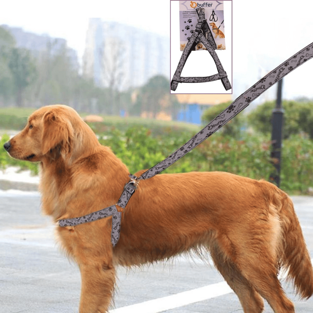 Ergonomik Yumuşak Dokulu Terletmez Köpek Göğüs Tasması Medium Bx40