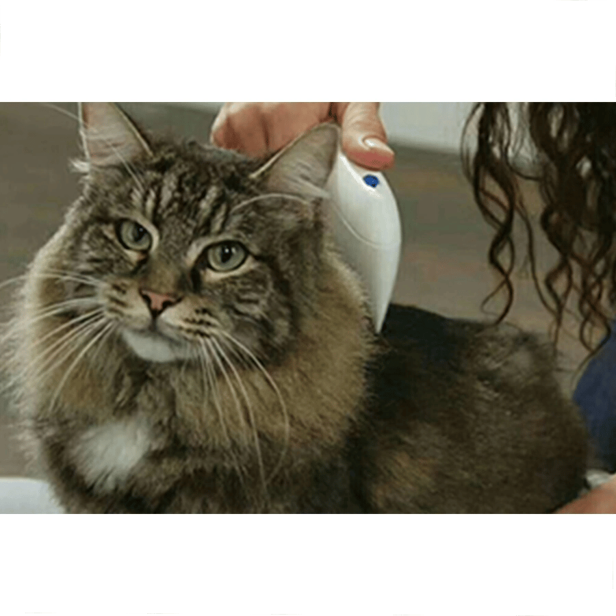 Flea Doctor Pet Hayvanlar İçin Haşere Öldürücü Pilli Pire Tarağı