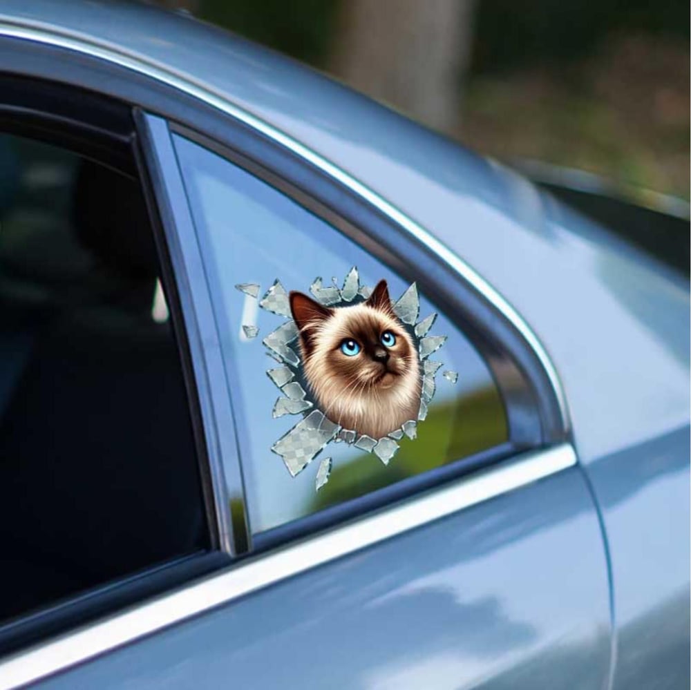 Fulcar Siamesse Araç Stickerı