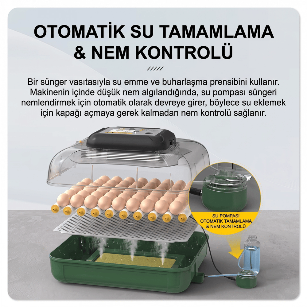 MY110 Yumurta Kapasiteli Tam Otomatik Kuluçka Makinesi Su Pompası ve Yedek Çevirme Motoru Hediyeli