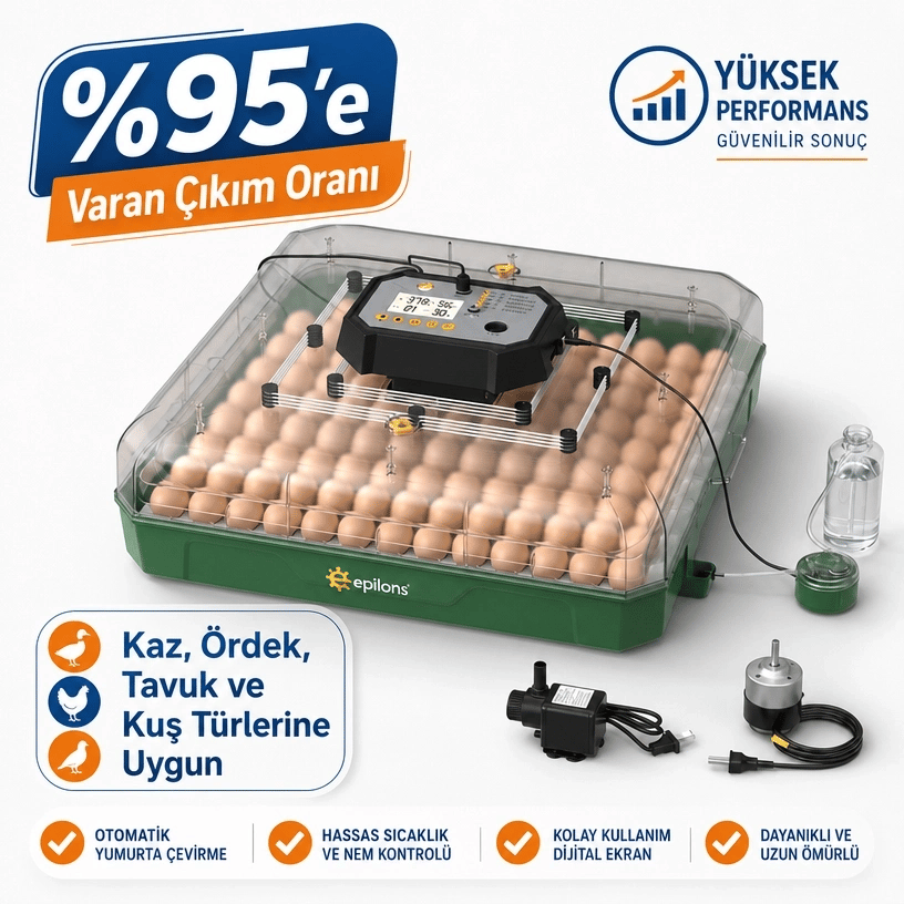 MY110 Yumurta Kapasiteli Tam Otomatik Kuluçka Makinesi Su Pompası ve Yedek Çevirme Motoru Hediyeli