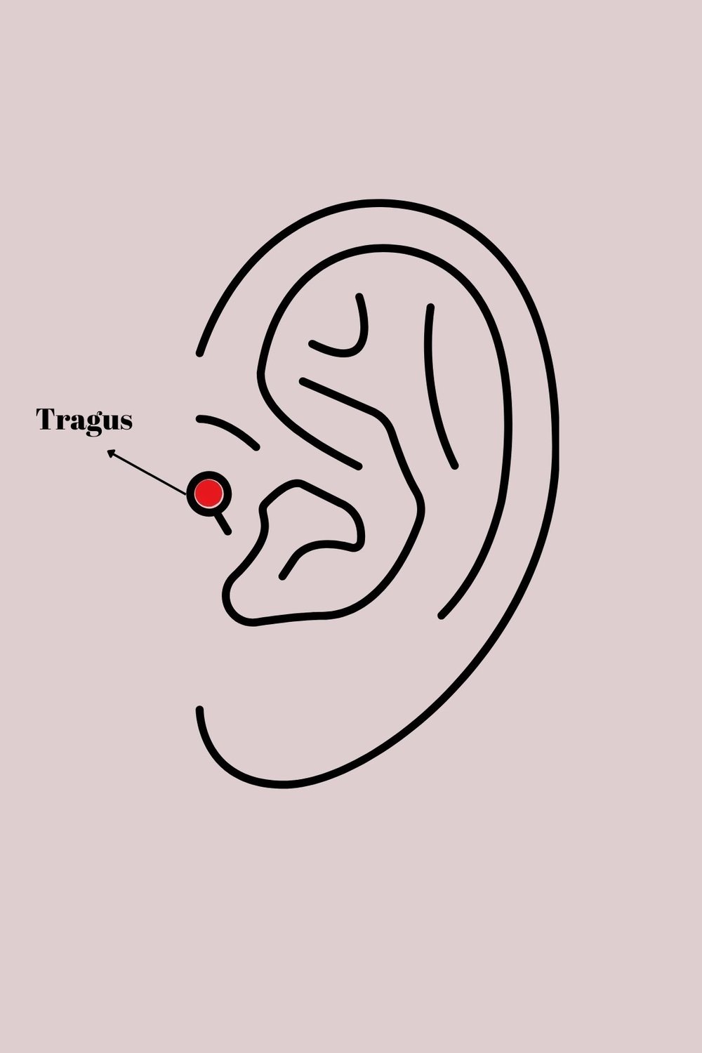 Mey İthalat® 316L Çelik Gümüş Renk Mor Mineli Kalp Zirkon Taş Detay Tragus Piercing
