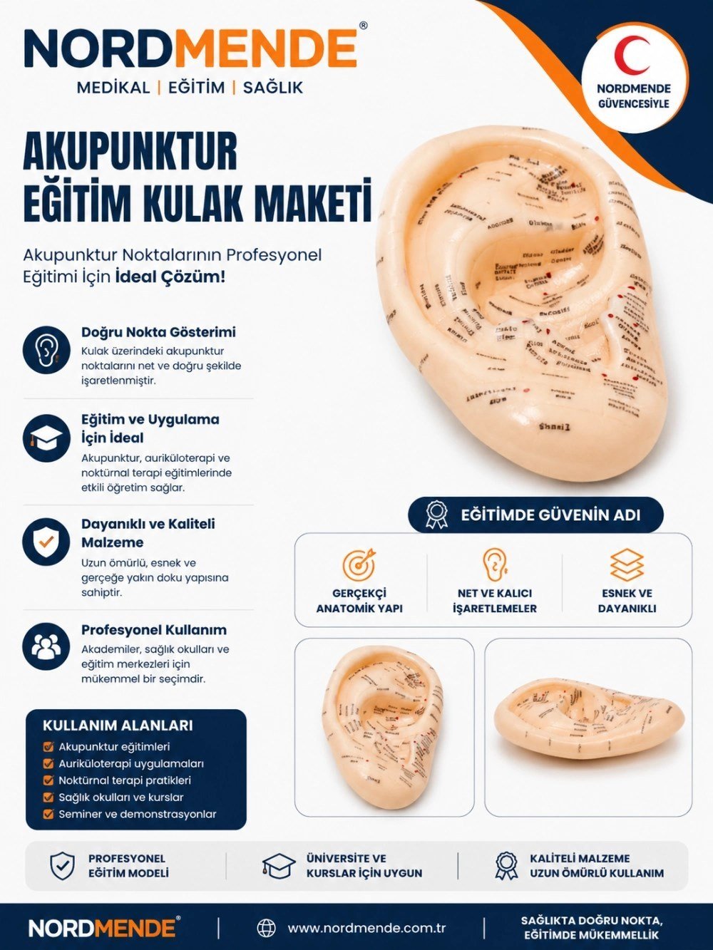 Mey İthalat® NORDMENDE Akupunktur Eğitim Kulak Maketi Auriküloterapi Nokta Gösterim Anatomik Eğitim Modeli