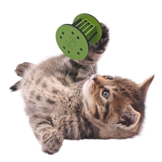 Mini Silindir Eğlenceli Renkli Sağlam Küçük Pati İzi Şekilli Kedi Oyuncağı (3936)