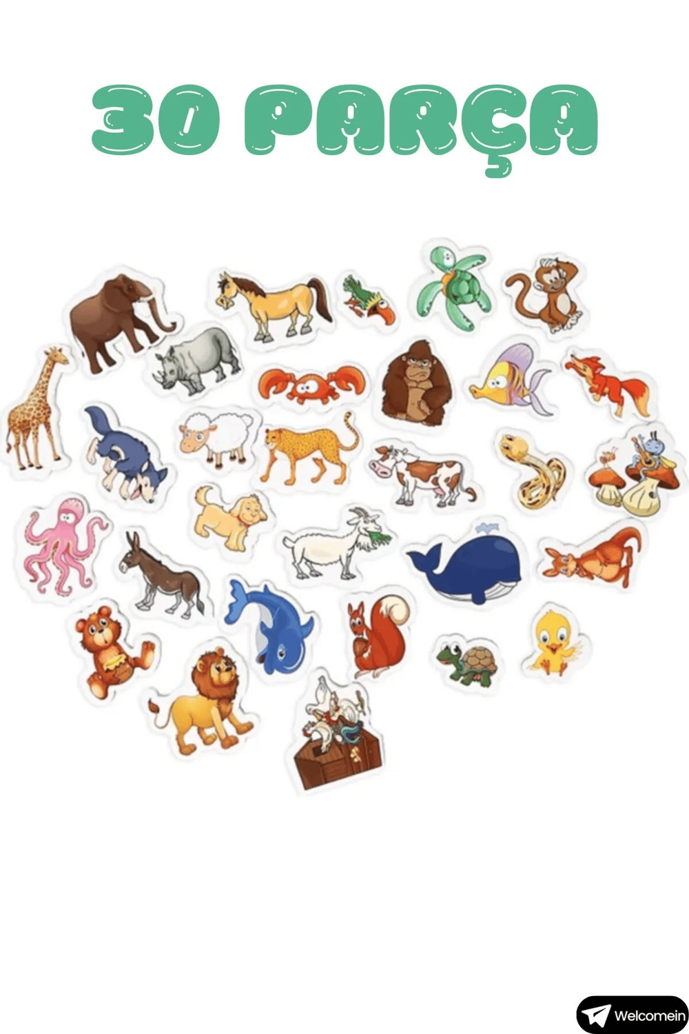 Oyuncak Manyetik Mıknatıslı 30 Parça Hayvanlar 26 Parça Sebze Meyveler Eğitici Set Magnet