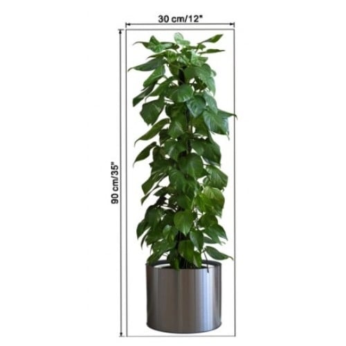 Saksılı Bitki Tasarımlı Yapışkanlı Sticker Resim 90*30 Cm Bx40