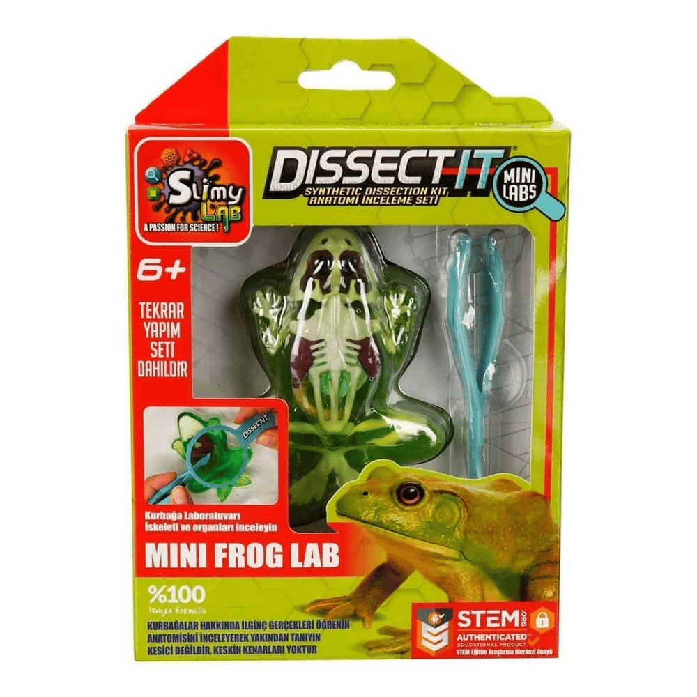 Slimy Dissect it Mini Labaratuvar