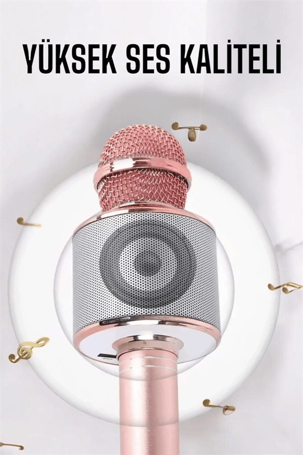 Taşınabilir Bluetooth Karaoke Mikrofon: Hafıza Kart Girişli, Etkileyici Performans