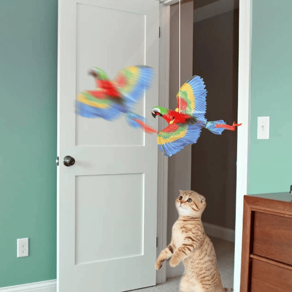 Uçan Papağan Kedi Oyuncağı