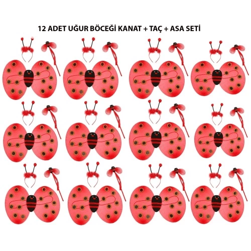 Uğur Böceği Kostüm Seti - Kanat, Taç, Asa 12 Adet