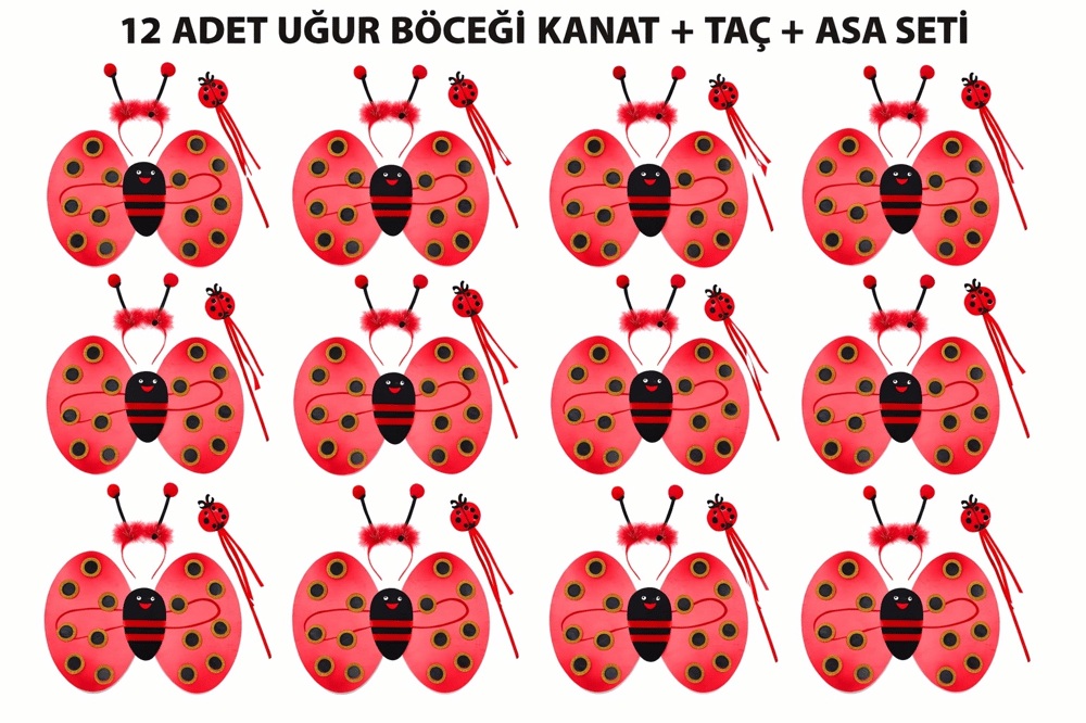 Uğur Böceği Kostüm Seti - Kanat Taç Asa 3 Parça 12 Adet