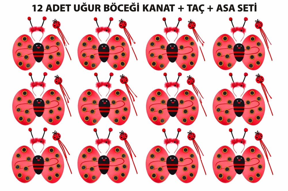 Uğur Böceği Kostüm Seti - Kanat Taç Asa 3 Parça 12 Adet