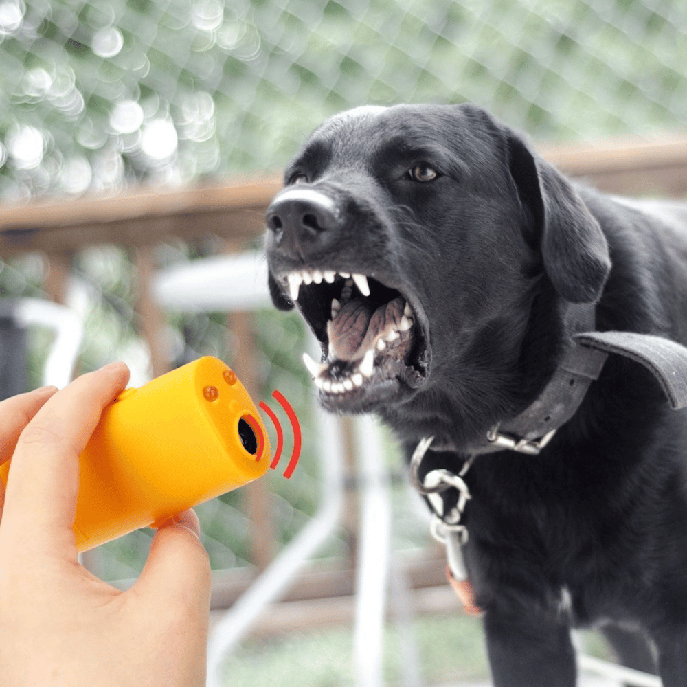 Ultrasonik Köpeksavar Köpek Kovucu Köpek Kornası Eğitim Cihazı Bx40