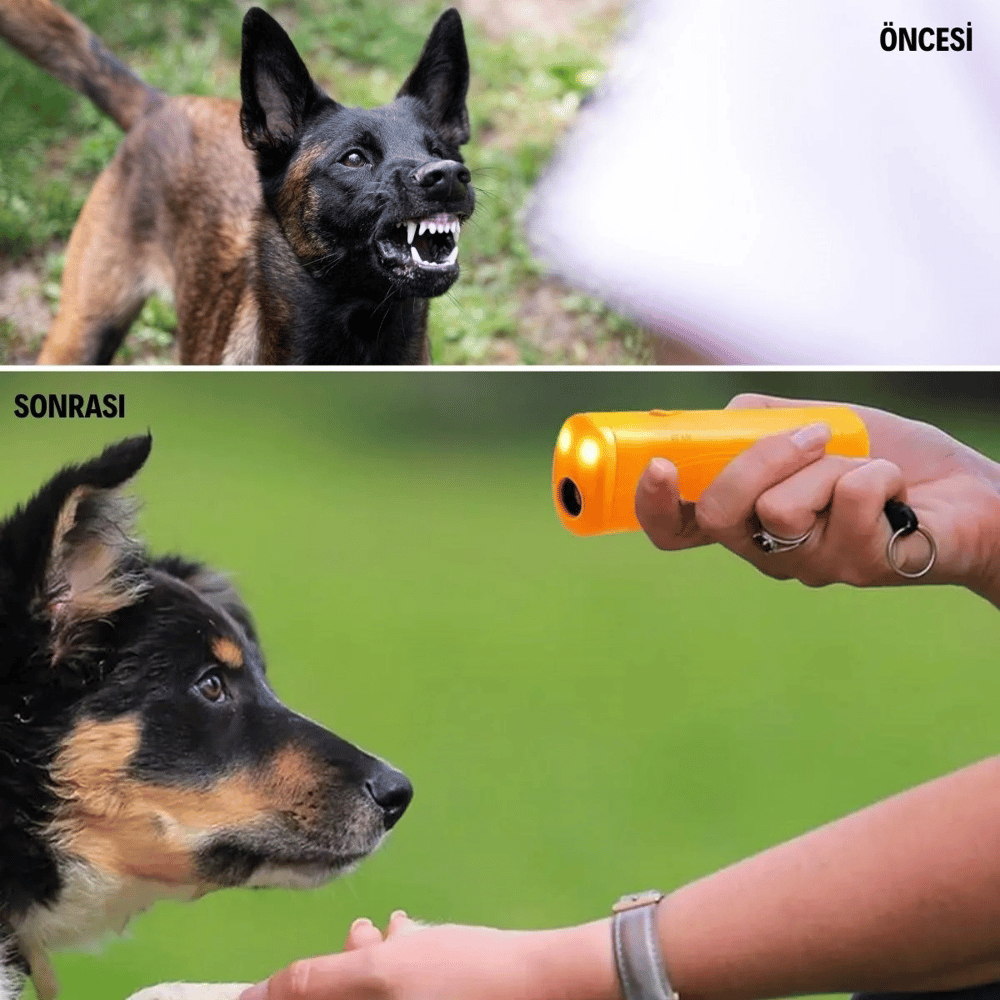 Ultrasonik Köpeksavar Köpek Kovucu Köpek Kornası Eğitim Cihazı Bx40