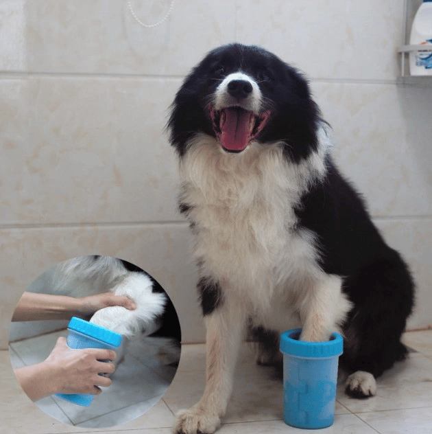 Welfare Köpek Pati Yıkama Aparatı Küçük Bx40