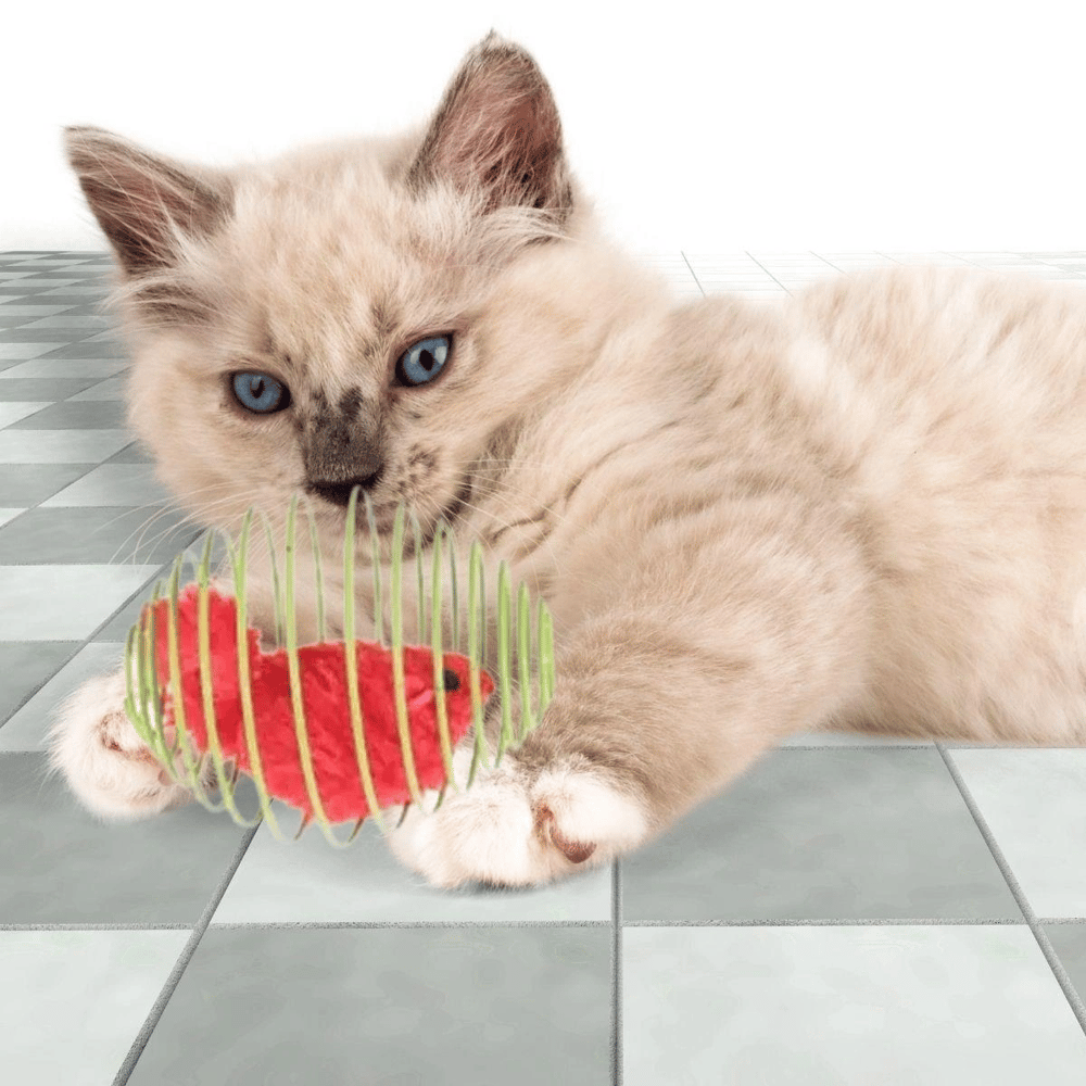 Yaylı Metal Fareli Kafes Kedi Oyun Topu Sıçrayan Spiral Kedi Topu Bx40