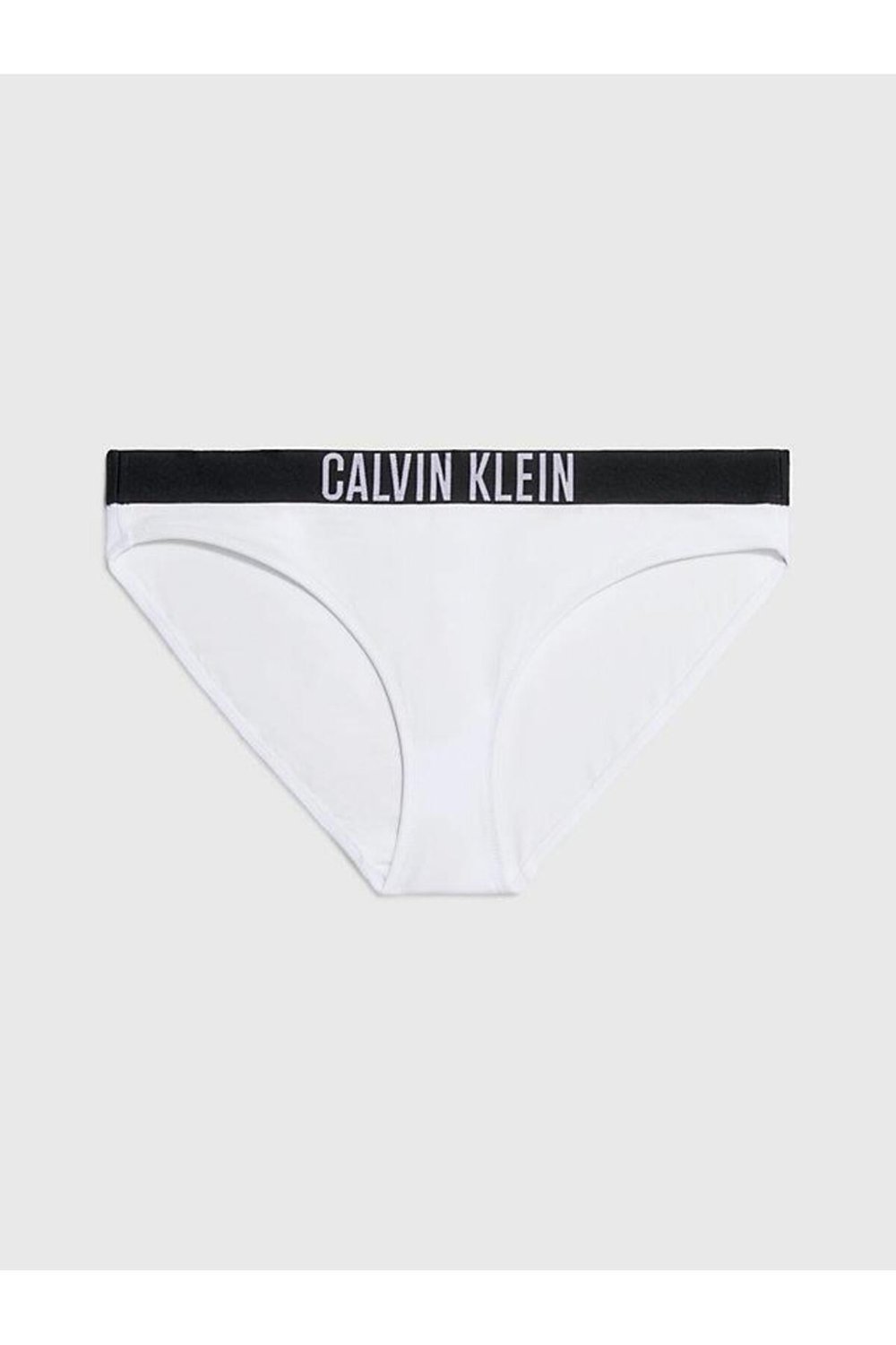 Logolu Bikini Altı KadınBikini Altı Kw0kw01859 Ycd