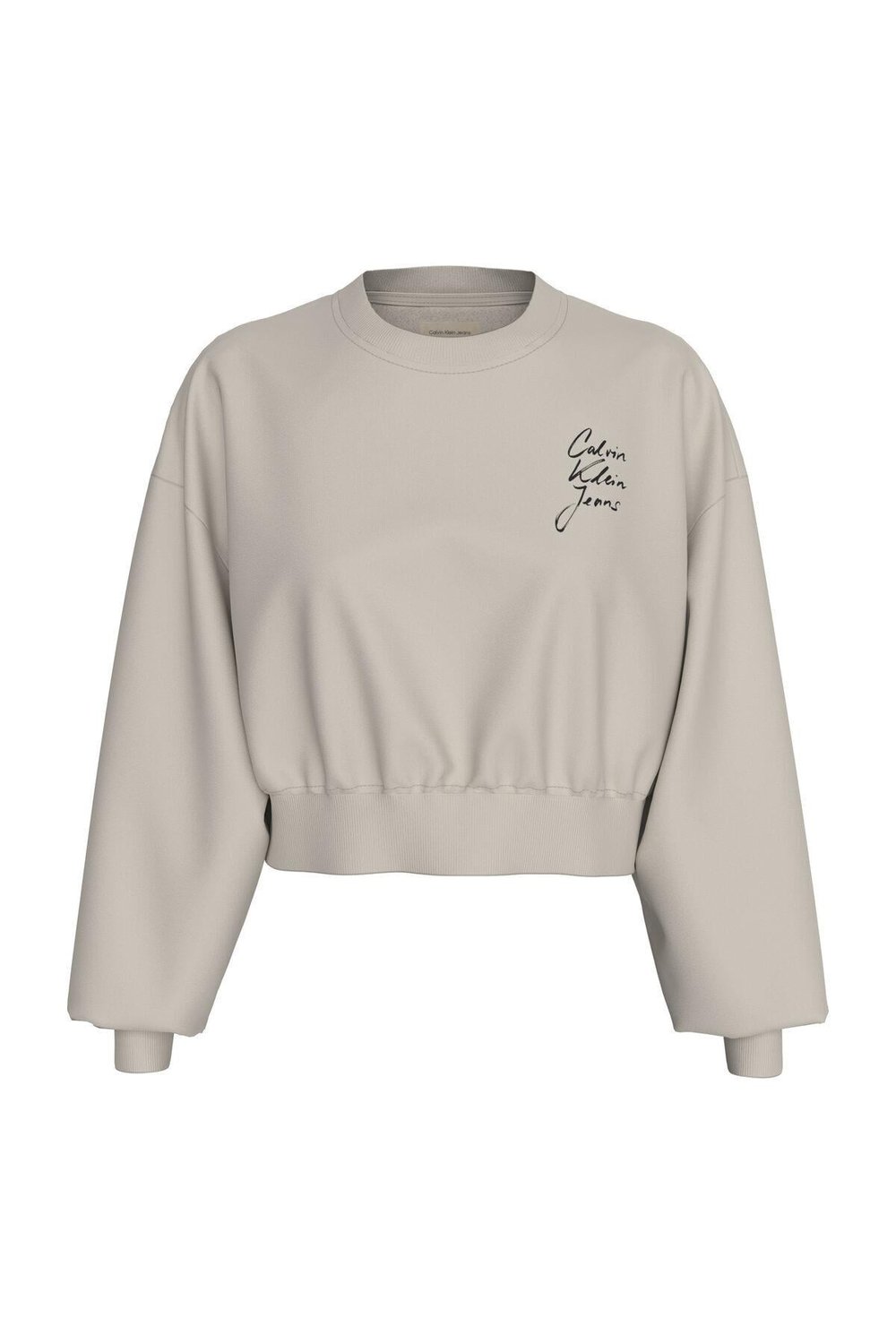 SCRIPT INSTITUTIONAL CREWNECK