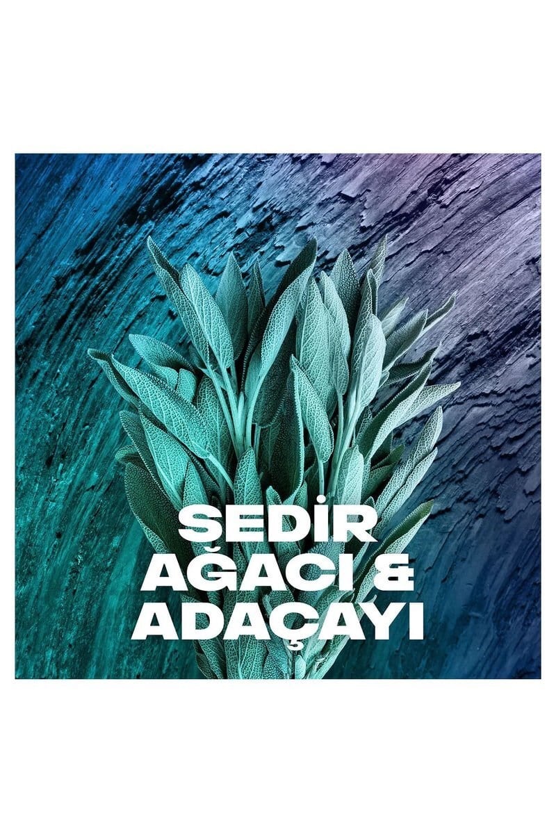 3 Adet Axe Erkek Sprey Deodorant Apollo 48 Saat Etkileyici Koku Vücut Spreyi 150 ml