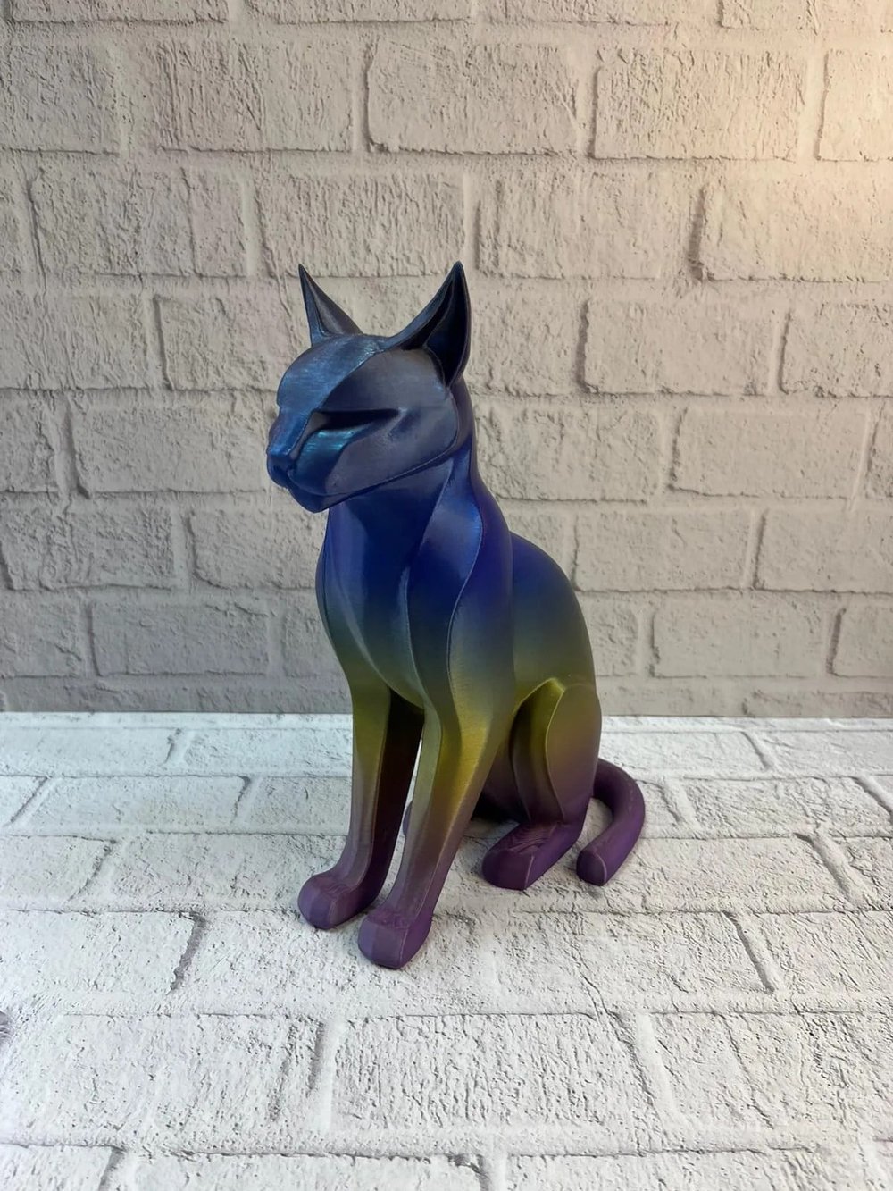 KOYU RAİNBOW KEDİ