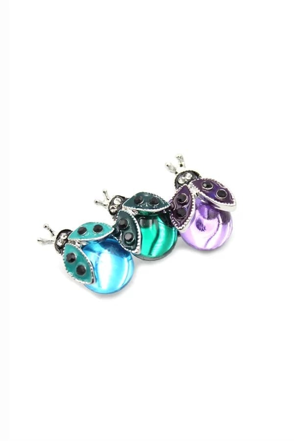 Uğur Böceği Broş - ÇOK RENKLİ