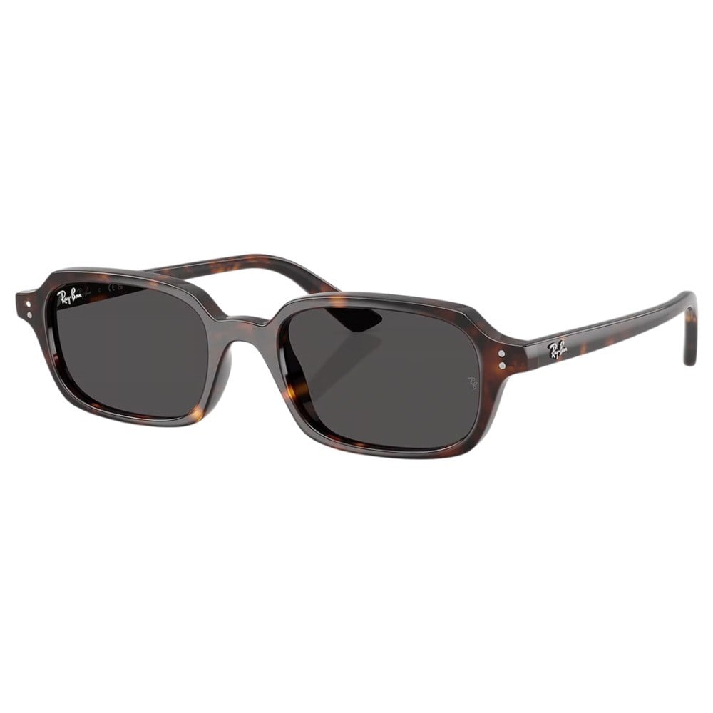 Ray-Ban Orb4455 135987 52Hc