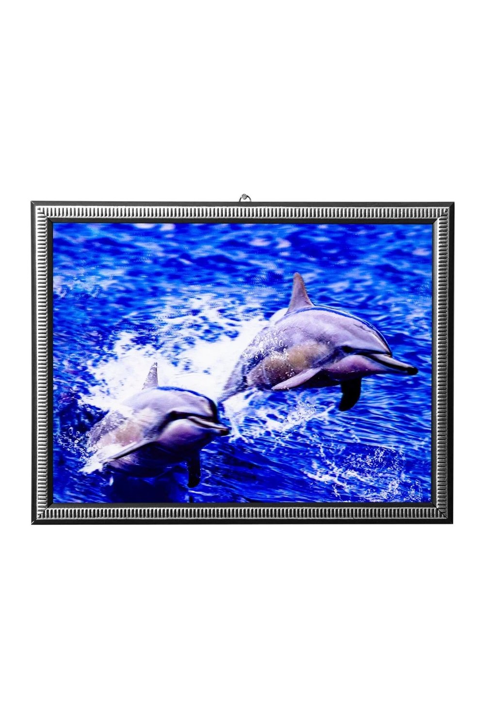 5d Recine Elmas Boyama 180° Hareketli 2li Sevimli Yunuslar Dolphin Cerceveli Tablo Resim