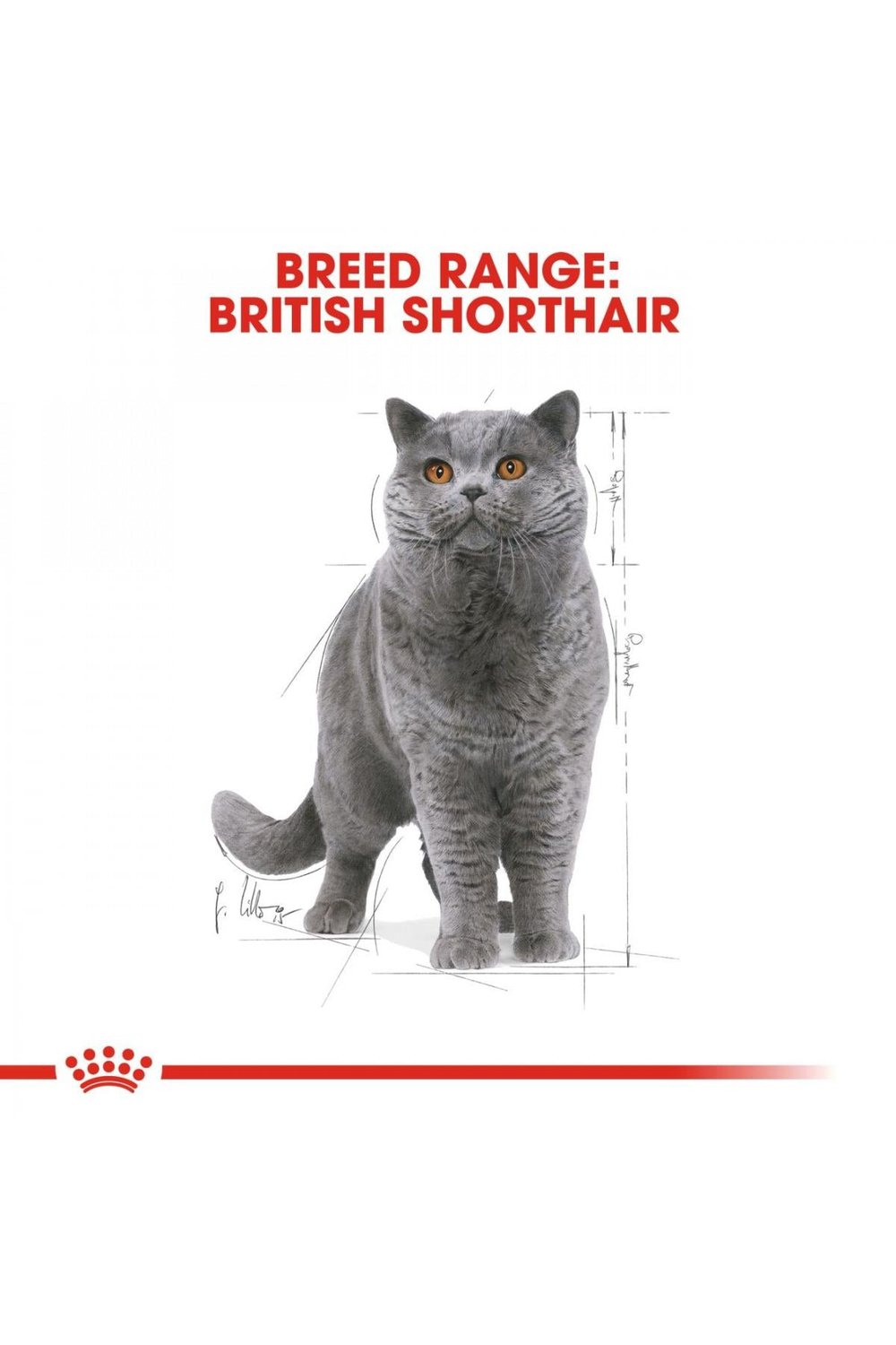 British Shorthair için Yaş Kedi Maması 85g