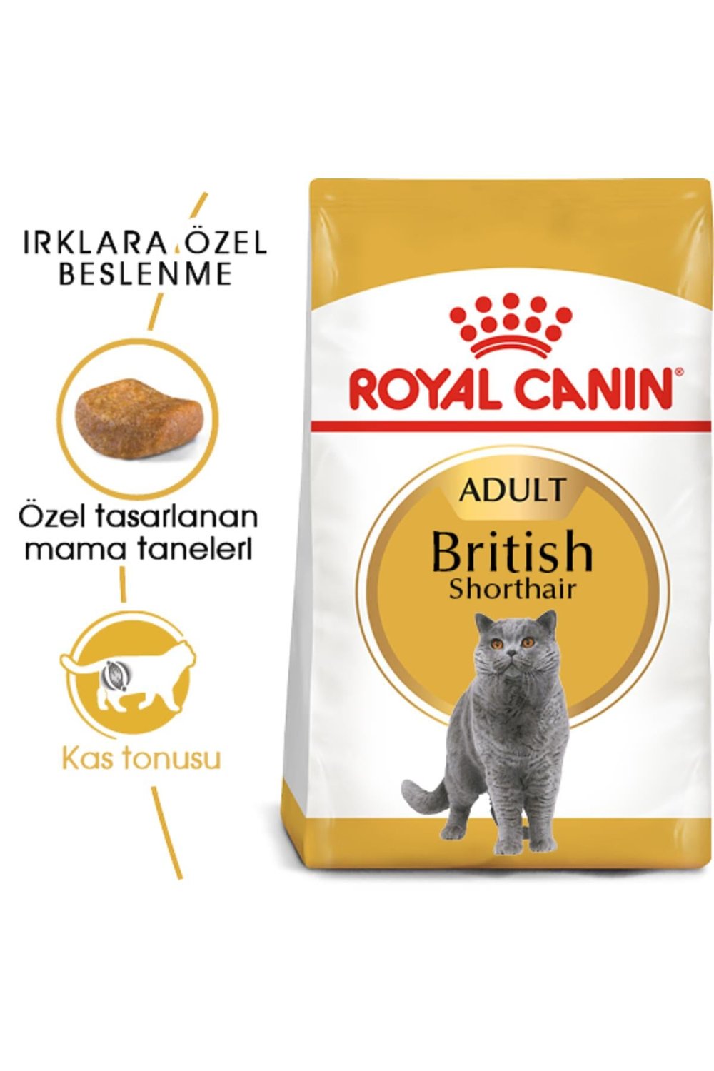 Cat Fbn British Shorthair Kedi Maması 2 Kg