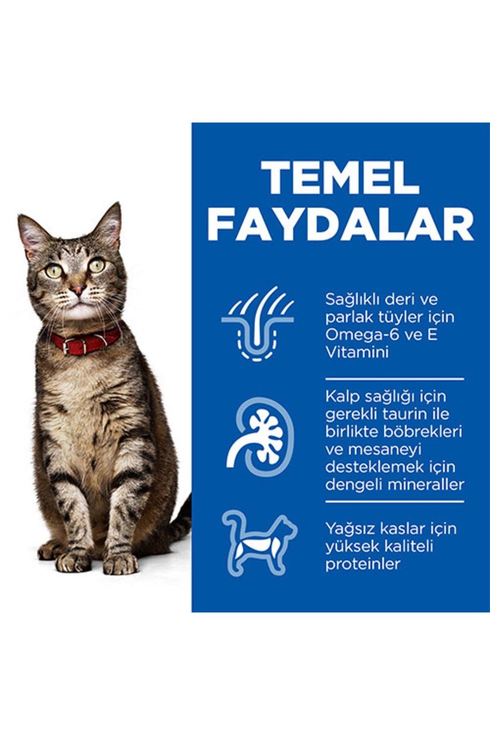 Hill’s SCIENCE PLAN Optimal Care Lamb Kuzulu Yetişkin Kedi Maması 10 Kg