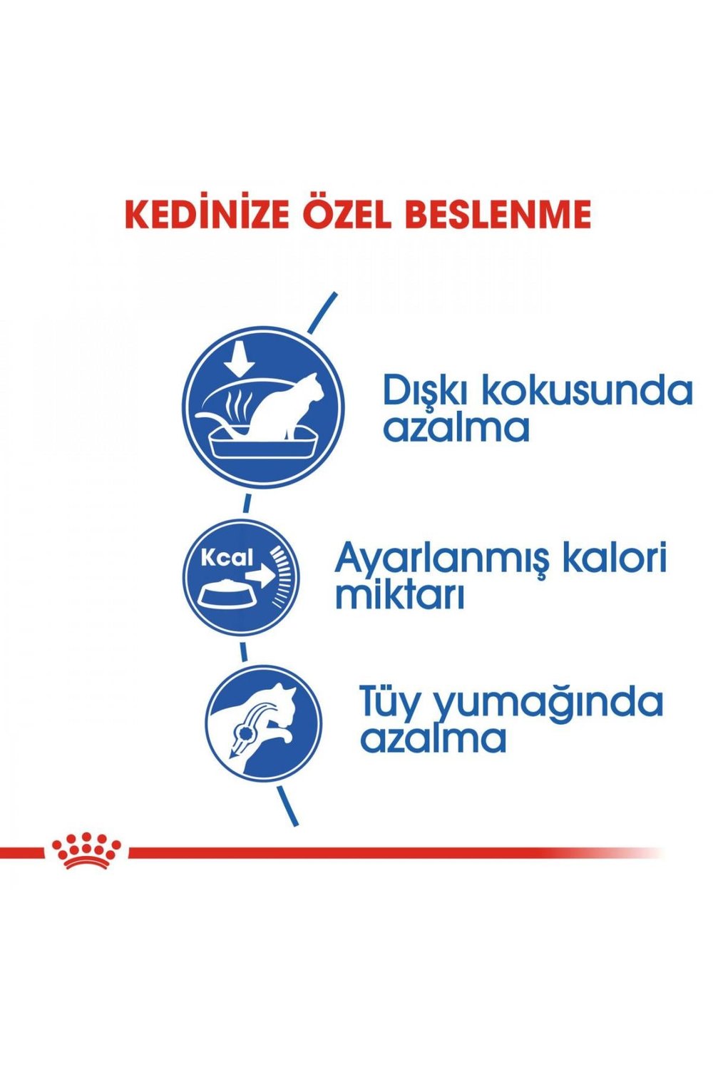 Indoor Ev Kedileri İçin Kedi Maması 400 gr