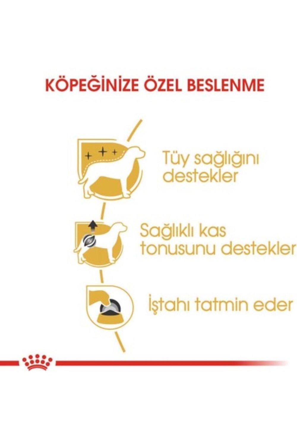 Poodle Yetişkin Köpek Konservesi 85 gr