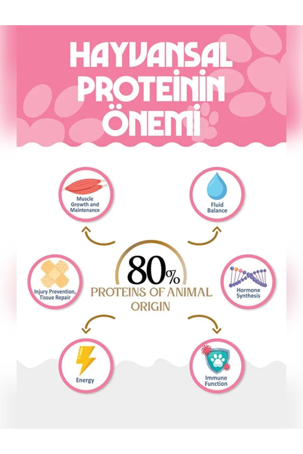 PREMIUM Tavuklu Kuru Yavru Kedi Maması 12 kg Kitten-Mother-Baby