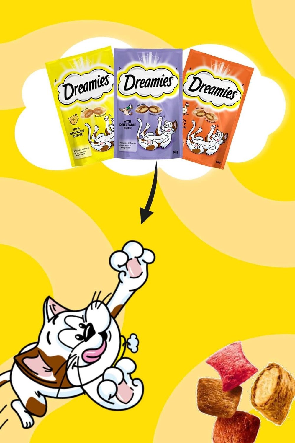 Tavuklu Kedi Maması 60 gr 6x