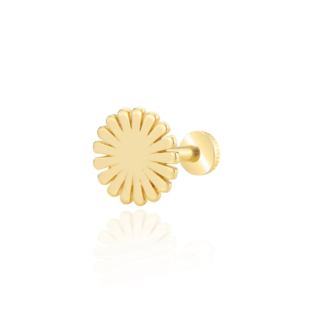 Taşsız çiçek tragus piercing