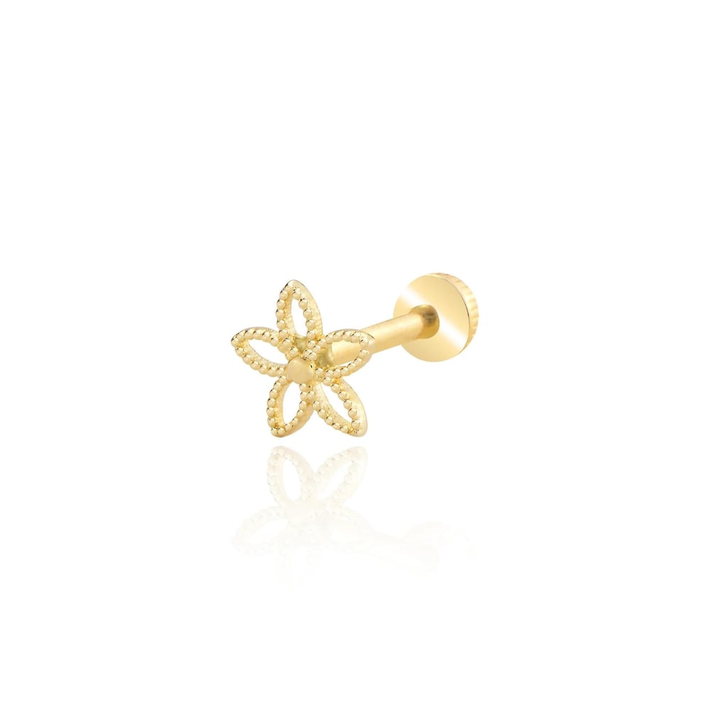 Taşsız çiçek tragus piercing