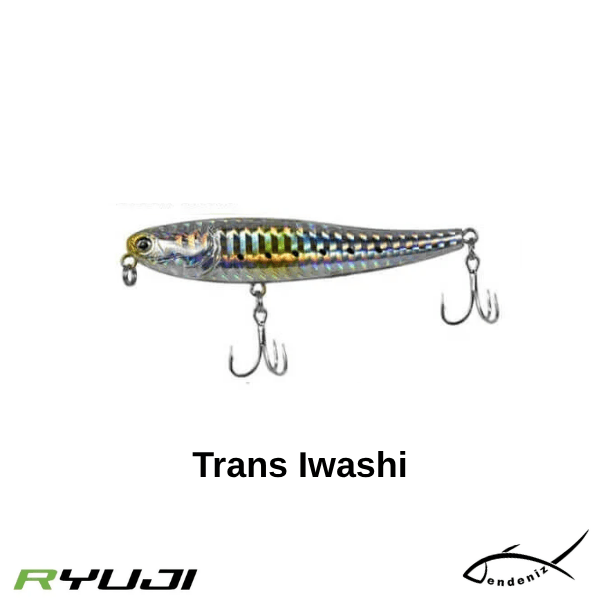 Ryuji Splash 8cm 8gr-Trans Iwashi