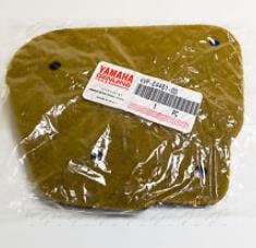 BWS 100 HAVA FİLTRESİ