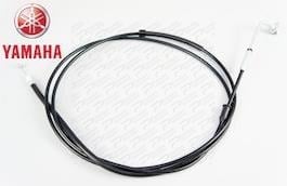 CYGNUS X (2007-2014) SELE KİLİ TELİ